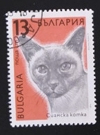 SD)1989, BULGARIA, EUROPEAN CAT, USED - Collections, Lots & Series