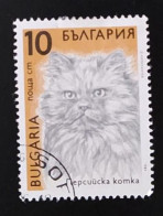 SD)1989, BULGARIA, PERSIAN CAT FELIX SILVESTRE, USED - Lots & Serien