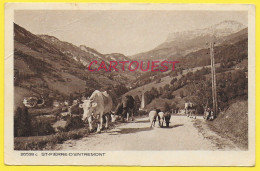 CPA SAINT-PIERRE D'ENTREMONT Vaches Moutons - Saint-Pierre-d'Entremont