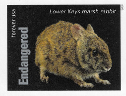 USA 2023 MiNr. 6060bb Without Die-cuts ND Endangered Species Mammals Lower Keys Marsh Rabbit  1v MNH ** 2.50 € - Conejos