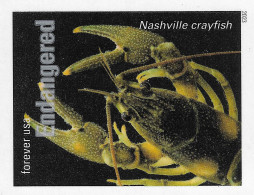 USA 2023 MiNr. 6068bb ND Endangered Species Crustaceans The Nashville Crayfish (Faxonius Shoupi) 1v MNH ** 2.50 € - Schalentiere