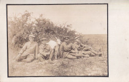 Armée Militaria Soldats Armée - Allemagne - Carte Photo 1916 Goat Moutons - Personnages