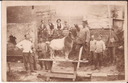 Armée Militaria Soldats Armée - Allemagne - Sans Légende Carte Photo Goat - Personen