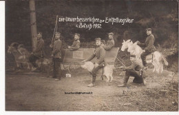 Armée Militaria Soldats Armée - Allemagne - Bitche Bitsch Die Unverbesserlichen Zur Entfettungskur Carte Photo Goat - Personen