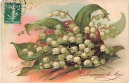 FLEURS PLANTES ARBRES - Fleurs - Muguet - Colorisé - Carte Postale Ancienne - Flowers