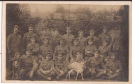 Militaria Soldats Armée - Carte Britannique - Sans Légende - Soldiers With Dog And Goat Carte Photo Goat - Personen