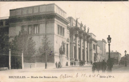 BELGIQUE - Bruxelles - Musée Des Beaux Arts - Carte Postale Ancienne - Diepenbeek