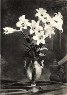 FLEURS - PLANTES - ARBRES - Fleurs - Lys à Longues Feuilles Dans Une Vase - Carte Postale Ancienne - Fleurs