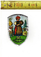 LADE D - Décoration Pour Canne De Marche - GRUSS VOM SCHWARZWALD- Plaatje Voor Wandelstok - Monete Allungate (penny Souvenirs)