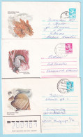 USSR 1983.1207. Coral Fishes. Prestamped Covers (3), Used - 1980-91
