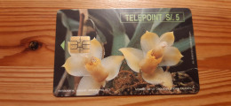 Phonecard Peru - Flower - Peru