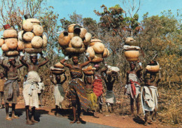 Congo Bénin Dahomey Animée Marchandes De Calebasses - Other & Unclassified