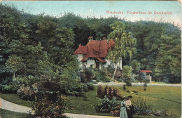 ALLEMAGNE - Hesse - Wiesbaden - Försterhaus Im Dambachal - Colorisé - Carte Postale Ancienne - Wiesbaden