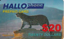 TARJETA DE INDONESIA DE UN LEOPARDO (LEOPARD) - Indonésie