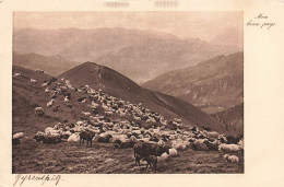 Gyrenspiz Säntis Appenzell 1920 Herde Von Schafen Hundwil - Appenzell