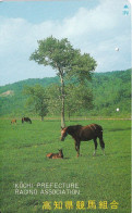 TARJETA DE JAPON DE UN CABALLO (CABALLO-HORSE) - Horses