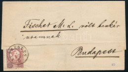 ~1873 Réznyomat 5kr Levélen / On Cover "KUNHEGYES" - "PEST" - Autres & Non Classés