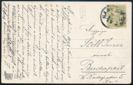 1909 Képeslap (kutyás) Turul 5f Füzetbélyeggel "NAGY-KŐRÖS" - Budapest - Autres & Non Classés