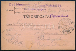 1915 Tábori Posta Levelezőlap "K.u.k. Infanterieregiment Erzherzog Friedrich Nr.52.13. Feldkompagnie" + "TP 44" - Other & Unclassified