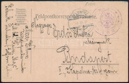 1915 Tábori Posta Levelezőlap / Navy Mail Postcard "S.M.S. KAISER MAX" + "ZELENIKA" - Otros & Sin Clasificación