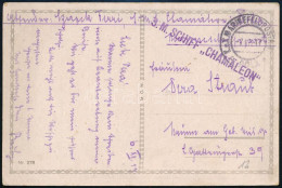 1917 Tábori Posta Képeslap "S.M. SCHIFF CHAMÄLEON" - Other & Unclassified