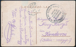 1917 Képeslap Rózsahegy Látképe "M. Kir. Rokkant Kórház/RÓZSAHEGY" "Katonai ápolási ügy Portómentes Militärpflege" Bélye - Other & Unclassified