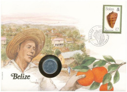 Belize 1980. 5c Al Felbélyegzett Borítékban, Bélyegzéssel, Német Nyelvű Leírással T:UNC Belize 1980. 5 Cents Al In Envel - Unclassified