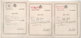 Budapest 1949-1953. Kaesz Gyula Bútortervező, építész, Az Iparművészeti Főiskola Rektorának és Feleségének, Lukáts Kató  - Unclassified