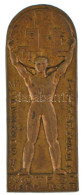 1935. "MOTESZ (Magyarországi Testedző Egyesületek Szövetsége) 1885-1935 - XIII. Országos Tornaünnepély" Bronz Jelvény "B - Unclassified