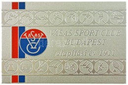 DN "Vasas Sport Club Budapest - Alapítási év 1911" Egyoldalas Festett Al Emlékplakett (80x119mm) T:UNC - Unclassified
