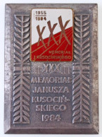 Lengyelország 1984. "XXX. Janusza Kusocinski Emlékverseny 1984" Zománcbetétes Br Plakett (50x68mm) T:1- Poland 1984. "XX - Unclassified