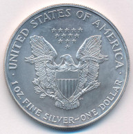 Amerikai Egyesült Államok 1997. 1$ Ag "Ezüst Sas" T:UNC Kis Patina USA 1997. 1 Dollar Ag "Silver Eagle" With Certificate - Ohne Zuordnung