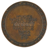 Ausztria 1973. "Nemzetközi Aeroszológiai Társaság 1. Kongresszusa - Bécs" Br Plakett (100mm) T:1  Hungary 1973. "Interna - Ohne Zuordnung