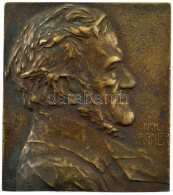 Ausztria ~1910. "Richard Wagner" Egyoldalas Bronz Plakett, Szign.:Franz Stiasny (63x55mm) T:1- Austria ~1910. "Richard W - Unclassified