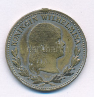 Hollandia ~1890. "Koningin Wilhelmina / Koningin Regentes Emma" Kétoldalas Ezüstözött Bronz Emlékérem Fül Nélkül T:3  Ne - Non Classificati