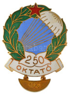 ~1950-1970. "Ejtőernyős Oktató - 250 Ugrás" Zománcozott Bronz Sapkajelvény "100/150"-es Bilétával (51x35mm) T:AU - Unclassified