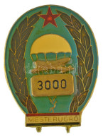 ~1960. "Mesterugró" 3000 Ugrás Után Járó Műgyantás, Aranyozott Bronz Kitüntető Teljesítmény Sapkajelvény (45x33mm) T:AU - Unclassified