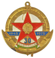 1975. "Flottilla 30 év, 1945-1975" Műgyantás Fém (sapka) Jelvény Füllel (~49x49mm) T:XF Patina Hungary 1975. "Flotilla,  - Ohne Zuordnung