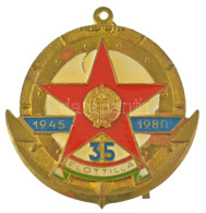 1980. "Flottilla 35 év, 1945-1980" Műgyantás Fém (sapka) Jelvény Füllel (~49x49mm) T:XF Patina Hungary 1980. "Flotilla,  - Non Classés