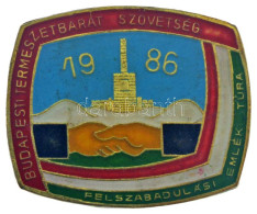 1986. "Természetbarát Szövetség Felszabadulási Emléktúra 1986" Műgyantás Bronz Kitűző T:XF - Non Classés