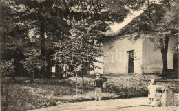 T2 1912 Algyógyfürdő, Geoagiu; Bornemissza Sor / Street - Non Classificati
