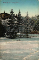 T2/T3 1922 Arad, Téli Kép A Salacz Parkból. Matusik Felvétele. Kerpel Izsó Kiadása / Winter In The Park (EK) - Non Classificati