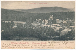 * T3/T4 1906 Borszék, Borsec; Villa Csoport / Villen Gruppe / Villas (Rb) - Unclassified