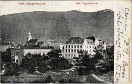 T3/T4 1906 Brassó, Kronstadt, Brasov; Katolikus Főgimnázium / Kath. Obergymnasium / Catholic Grammar School (fa) - Ohne Zuordnung