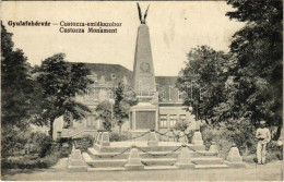 * T2/T3 Gyulafehérvár, Karlsburg, Alba Iulia; Custozza Emlékmű. Petri F. W. Kiadása / Monument (EK) - Unclassified