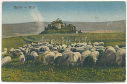 * T2/T3 1928 Kőhalom, Reps, Rupea; Cetatea Rupea / Kőhalmi Vár, Juhnyáj / Castle, Flock Of Sheep. Kasper & Kellner - Sin Clasificación