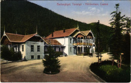 ** T2/T3 Barlangliget, Höhlenhain, Tatranská Kotlina (Magas-Tátra, Vysoké Tatry); Kávéház és Társalgó. Wlaszlovits Guszt - Ohne Zuordnung