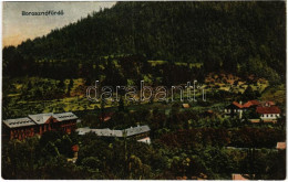 T3 1910 Borosznófürdő, Brusno-kúpele (Borosznó, Brusznó, Brusno); Látkép / General View, Spa (fa) - Unclassified