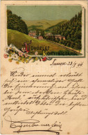 T2/T3 1899 (Vorläufer) Korytnicza-fürdő, Korytnica-kúpele; A Fürdő Látképe. Szecessziós Virágos Kép / General View, Spa. - Sin Clasificación