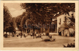 T2/T3 1926 Vihnye, Vihnyefürdő, Kúpele Vyhne; Fürdő / Spa, Park (EK) - Ohne Zuordnung